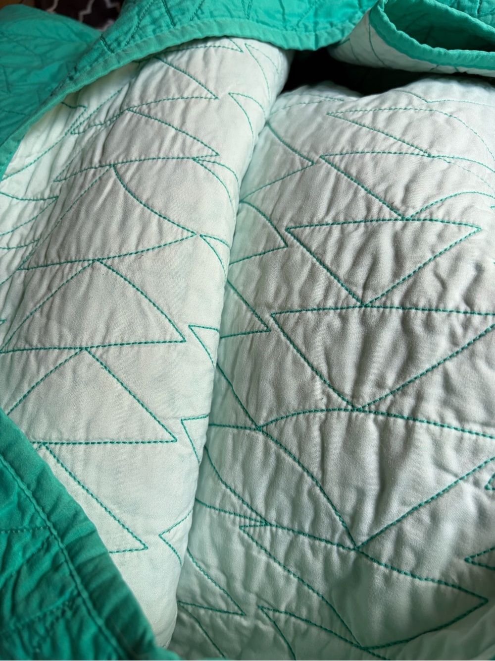 Pillowfort Aqua and Mint Quilted Bedspread